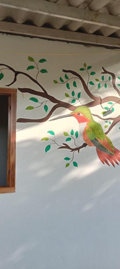 Sierra Kay Hostel Guachaca Rom bilde